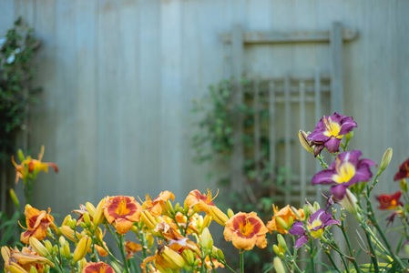 Sprinkleranlagen für Ihr Garten
